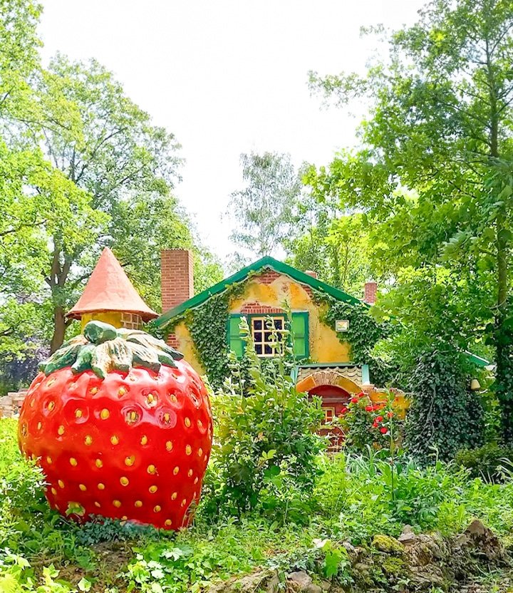 dp header mobile aardbeienland2